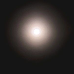 Meet your Posher, Angel